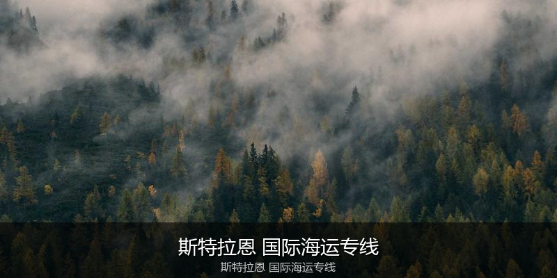 中国到澳洲海运专线服务优势与价格指南